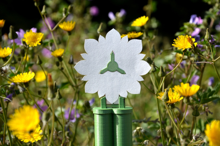 ¡Fascinante! Esta flor genera electricidad imitando el ciclo de vida de una planta