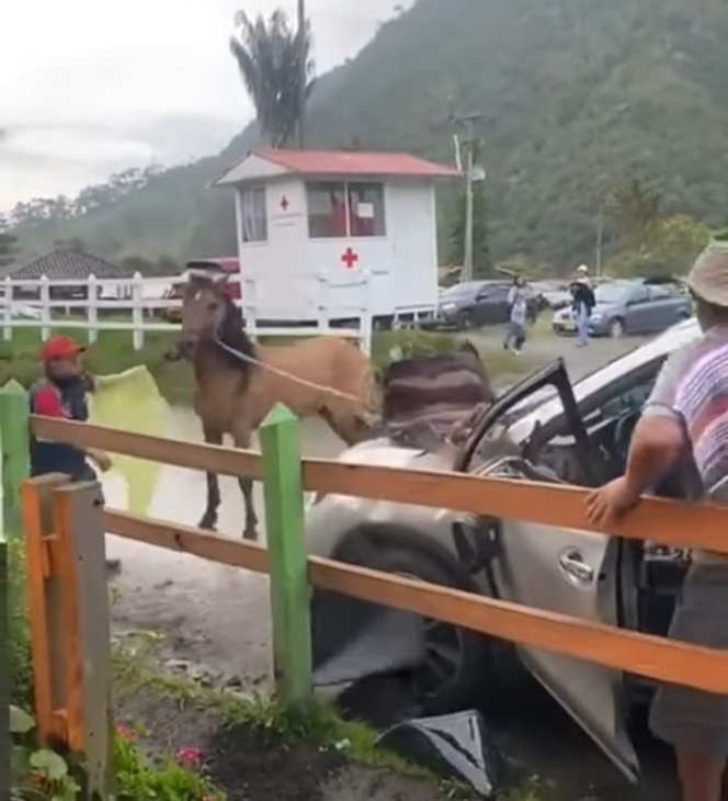 caballo destroza un carro en el valle del cocora: concejal de salento pide analizar la sobrecarga turística