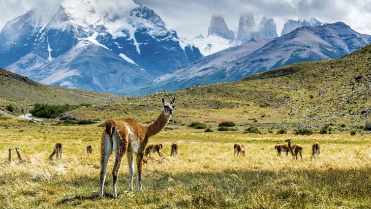 el porsche panamera y el recorrido por la patagonia en la “ruta del fin del mundo”