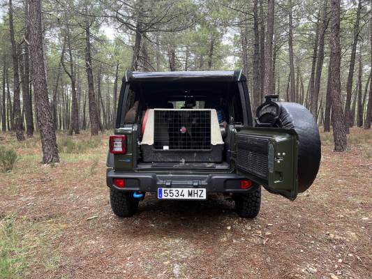 jeep wrangler 4xe: ¿tiene sentido como único coche?