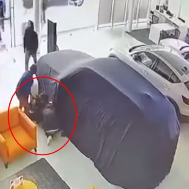 Banda roba 10 autos de Volvo León tras simular ser clientes; los persiguen y abandonan 9