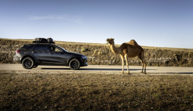 Audi Q8 e-tron Edition Dakar: móntate tu propia aventura con este nuevo SUV de película