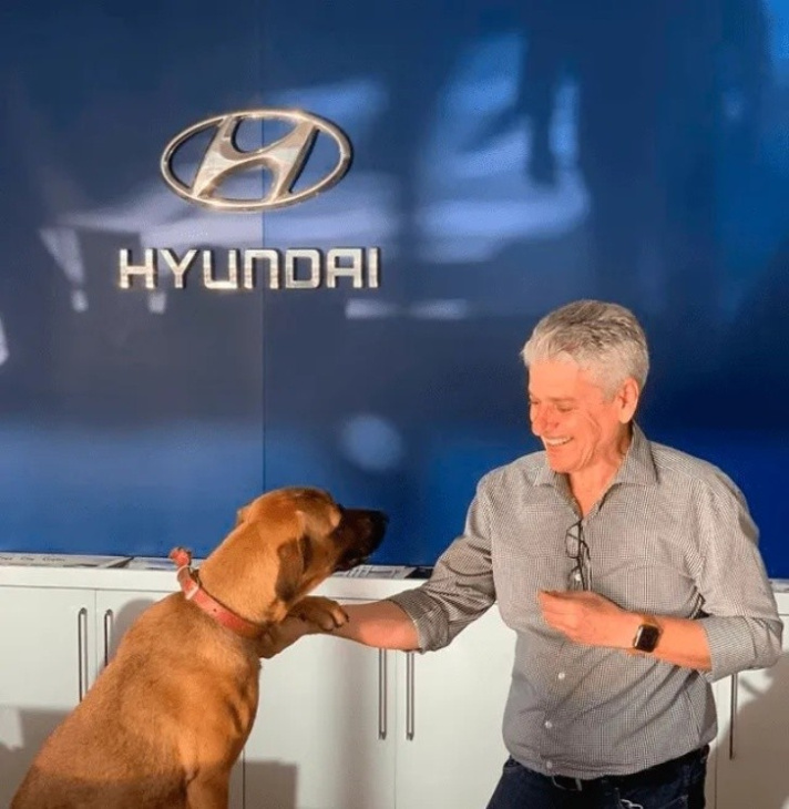 mi primera chamba: hyundai contrata a perro callejero como consultor de ventas