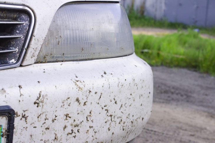 el motivo por el que ahora impactan menos insectos en el parabrisas del coche