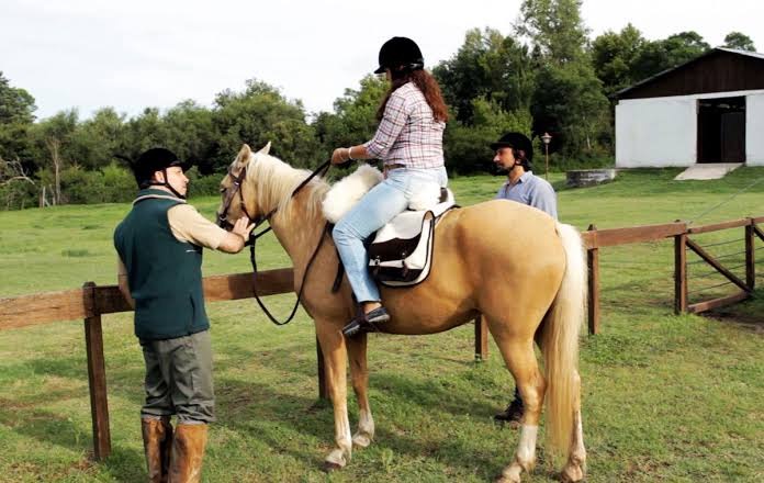 ¿cómo aprender a montar caballo? consejos útiles