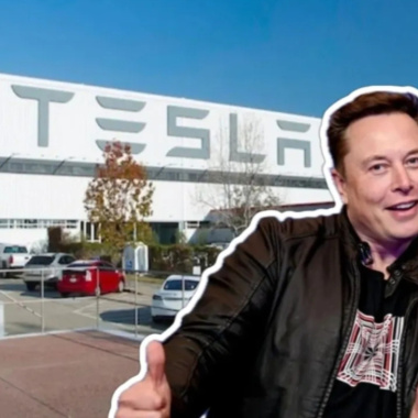 Tesla en México: ¿Cuántos millones de pesos dio Elon Musk para reforestar y rescatar especies?