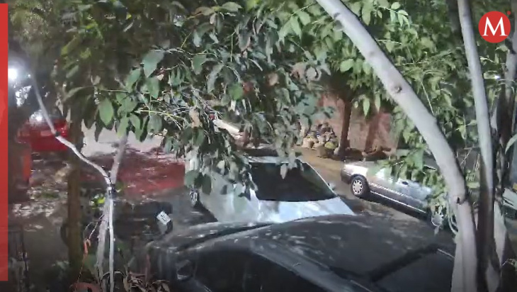 conductor choca contra auto estacionado y huye en santa catarina | video