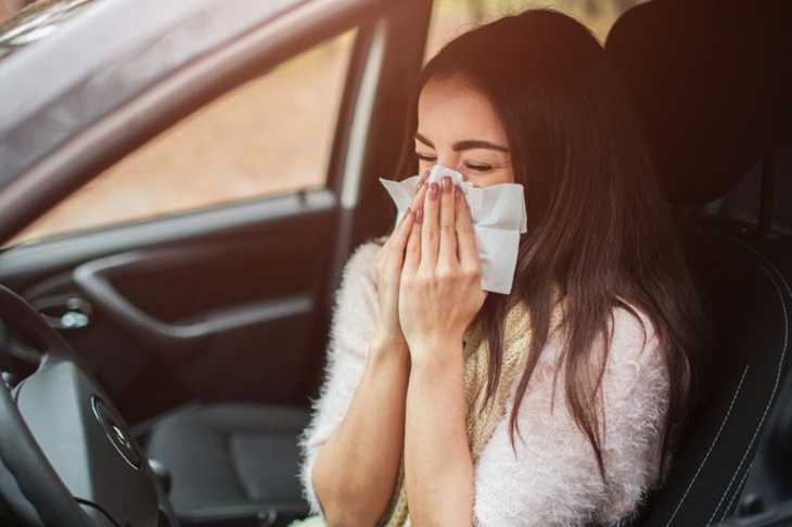 consejos para combatir las alergias en tu coche