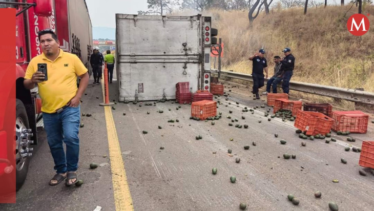 tráiler de aguacates vuelca en autopista siglo xxi de michoacán; ciudadanos ayudan a recogerlo