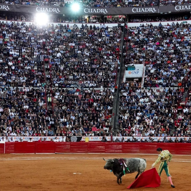 jueza da revés y vuelve a suspender corridas de toros en ciudad de méxico